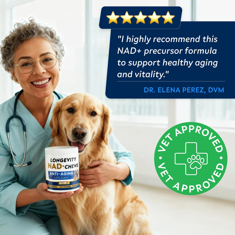 STRELLALAB NMN Supplement | NAD+ Booster for Dogs - Longevity - Quercetin, Resveratrol - Energy Boost for Senior Dogs, Canine Cognitive Supplement for Brain Health - Anti Aging Support Chews - 90Ct Peanut Butter