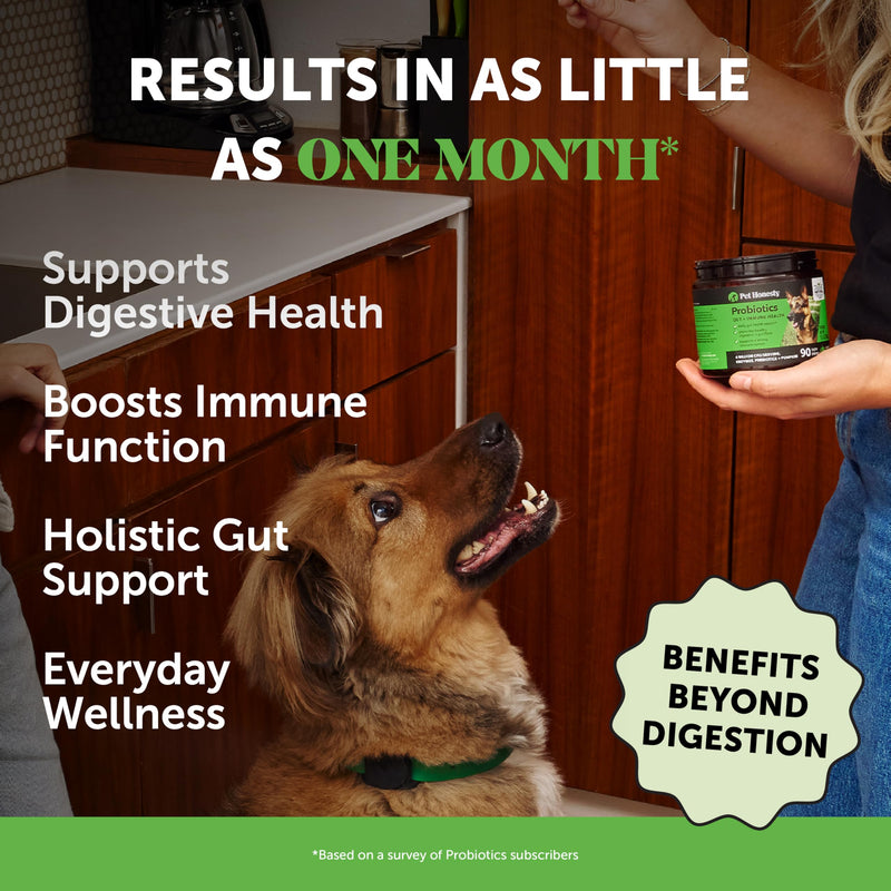 Daily Essentials Virtual Bundle - Probiotics for Dogs + Dental Powder for Teeth Cleaning & Plaque Removal, Gut Health & Immune Support for Dogs