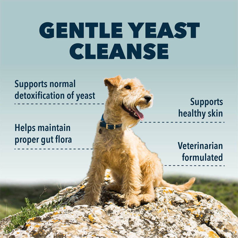 Yeast Guard - Dog Gut Health Probiotics Support Powder - Organic Herbs for Flora and Immune Support - 7 to 60 Day Supply, Depending on Dog’s Weight - Vet Formulated - for All Breeds