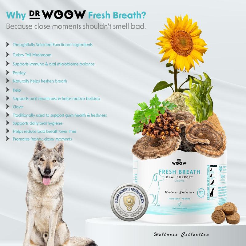Fresh Breath Dental Chews for Dogs (120 Soft Chews) – Oral Care & Bad Breath Support – Turkey Tail Mushroom, Parsley & Kelp – Daily Teeth & Gum Support – Made in USA – Dr. Woow Fresh Breath Dental