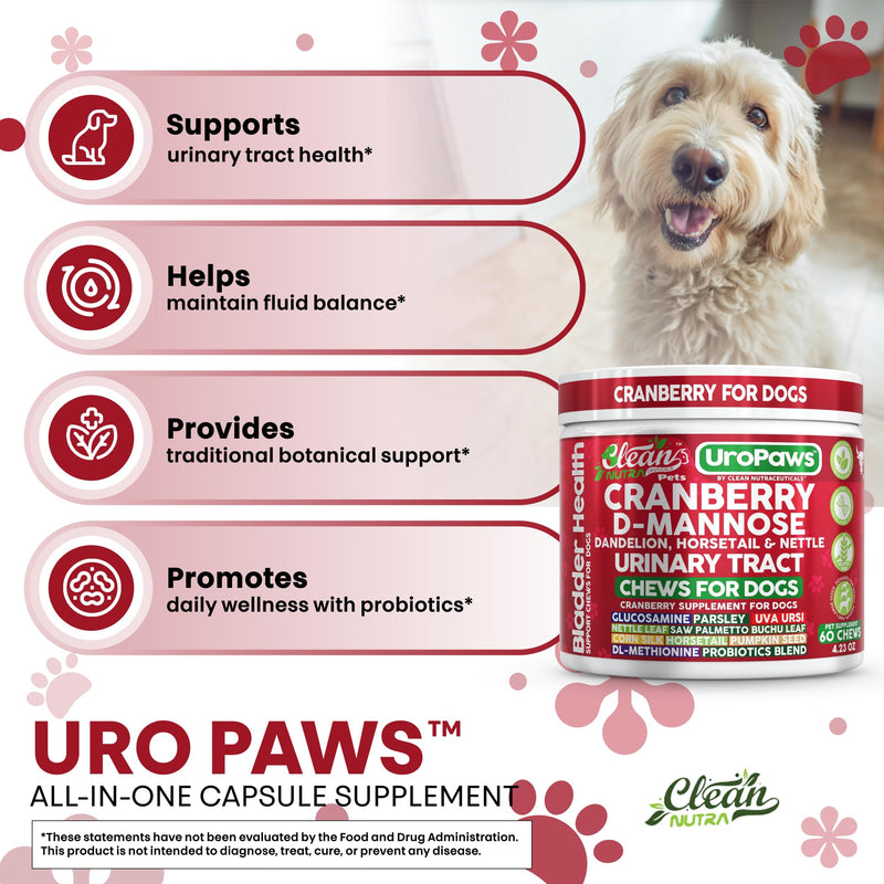 Dog UTI Treatment | Cranberry for Dogs | Urinary Tract Bladder Control | D-Mannose Dandelion Glucosamine HCL Marshmallow Nettle Leaf Saw Palmetto Uva Ursi Horsetail Beef Flavor by Clean Nutra Pets