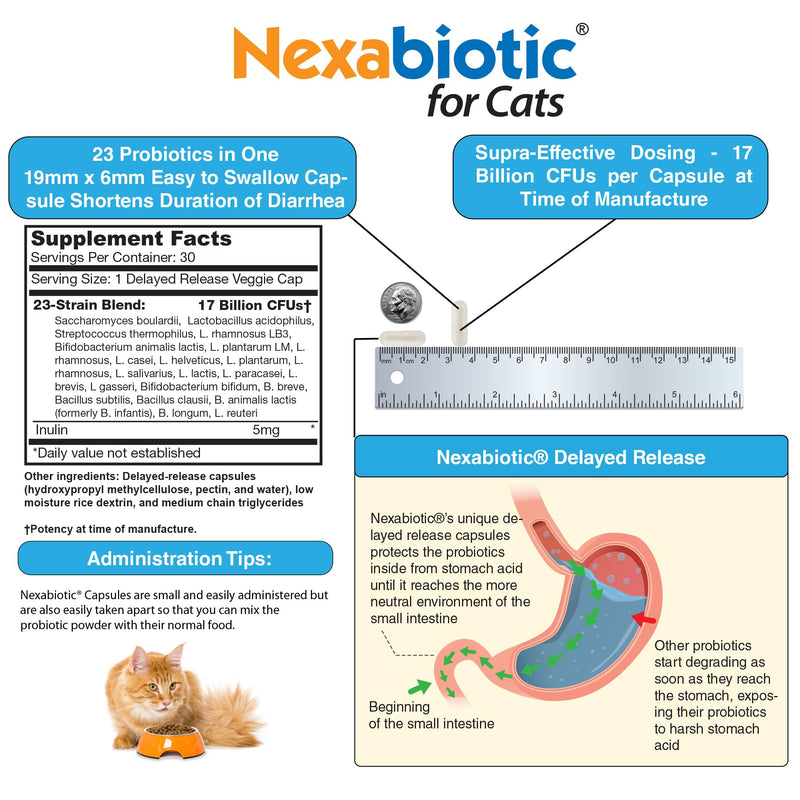 DrFormulas Nexabiotic Probiotics for Cats Powder | Treats Diarrhea for Pets with Saccharomyces Boulardii Lactobacillus Acidophilus, Best Probiotics Supplement for Digestive Health 30 Capsule