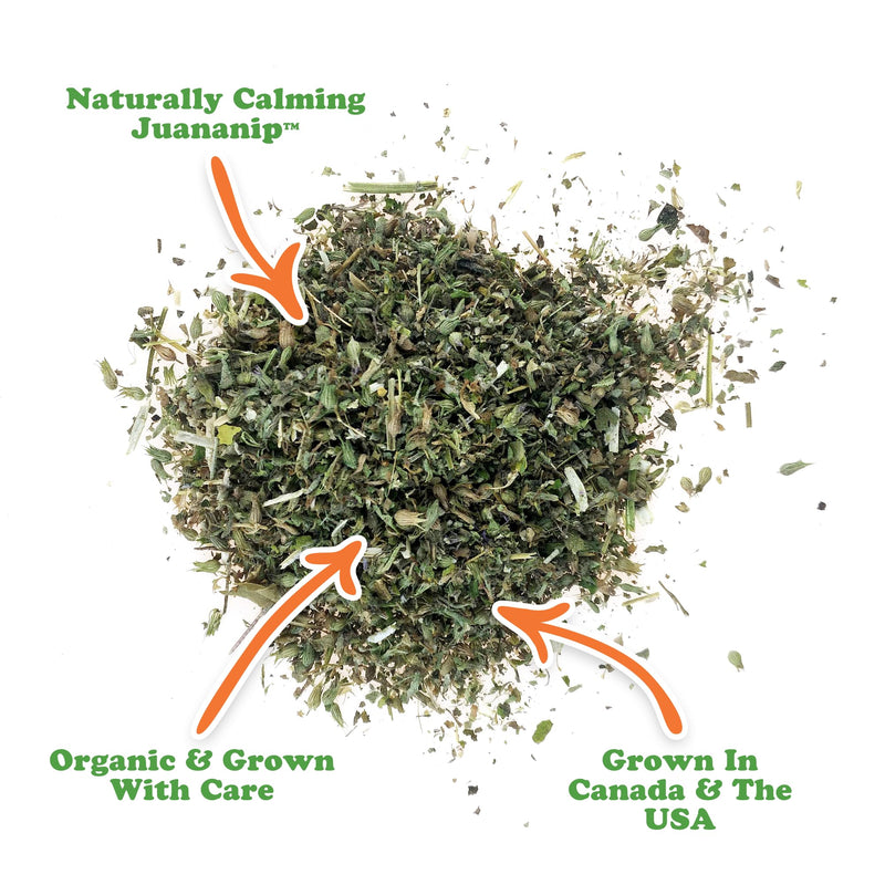 Doggijuana Juananip™ Refill Jar | Hand Harvested Organic Ground Catnip for Dogs | Naturally Calming for Anxiety, Stress | Grown in the USA Juananip Jar