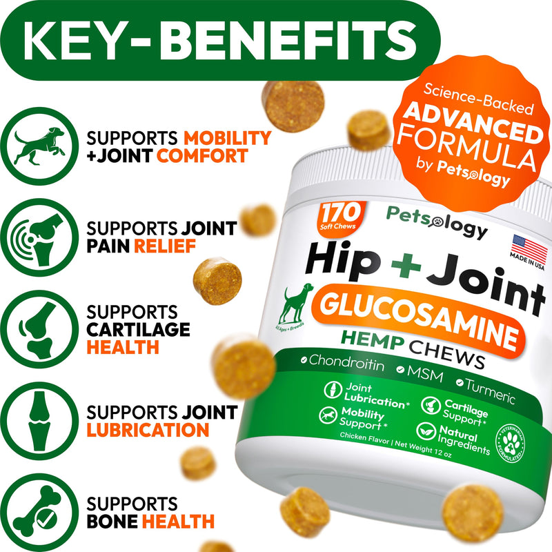 Hemp Hip and Joint Supplement for Dogs - Glucosamine for Dogs - 170 Mobility Support Chews - Advanced Joint Pain Relief Treats with Chondroitin, MSM, Turmeric - Large & Small Breeds - Made in USA 170 Chews
