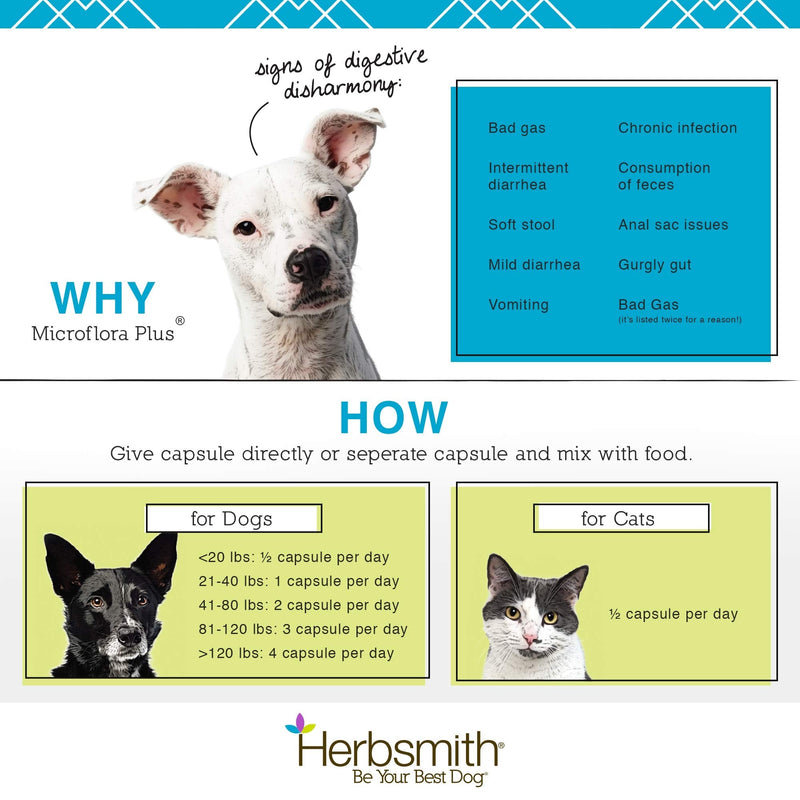 Herbsmith Microflora Plus – Dog Digestion Aid –Probiotics and Digestive Enzymes for Dogs – Prebiotic for Dogs – 60 Capsules - PawsPlanet Australia