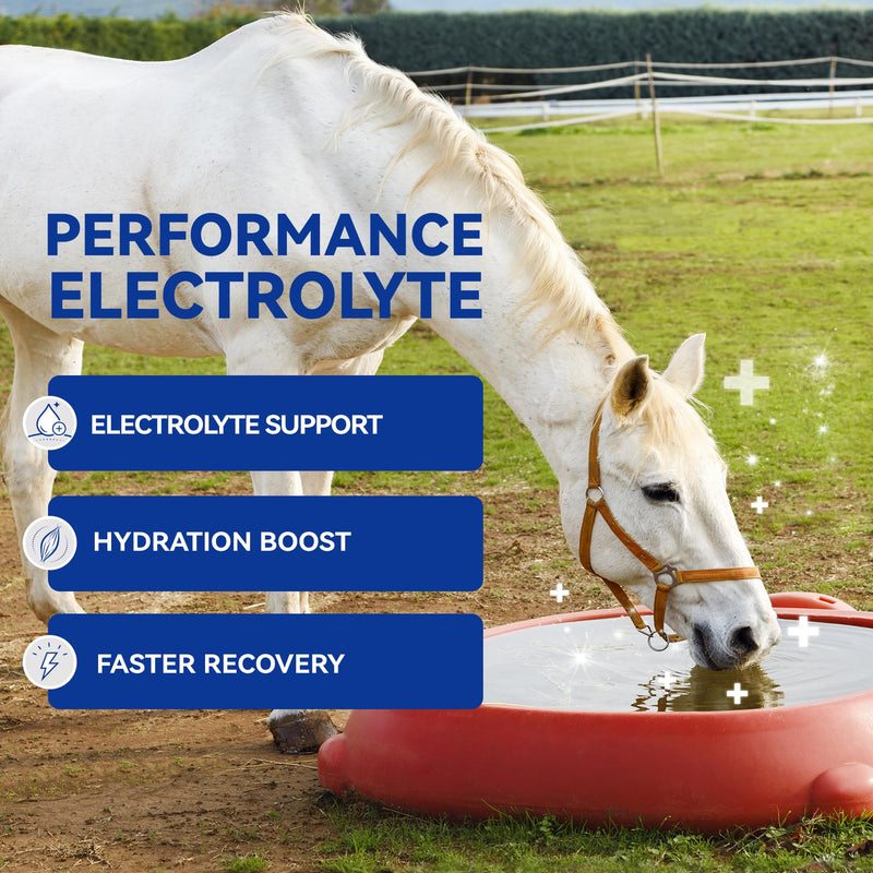 Horse Electrolytes Powder, Electrolyte for Horses with Sodium & Potassium, Equine Hydration Supplement 420g Box