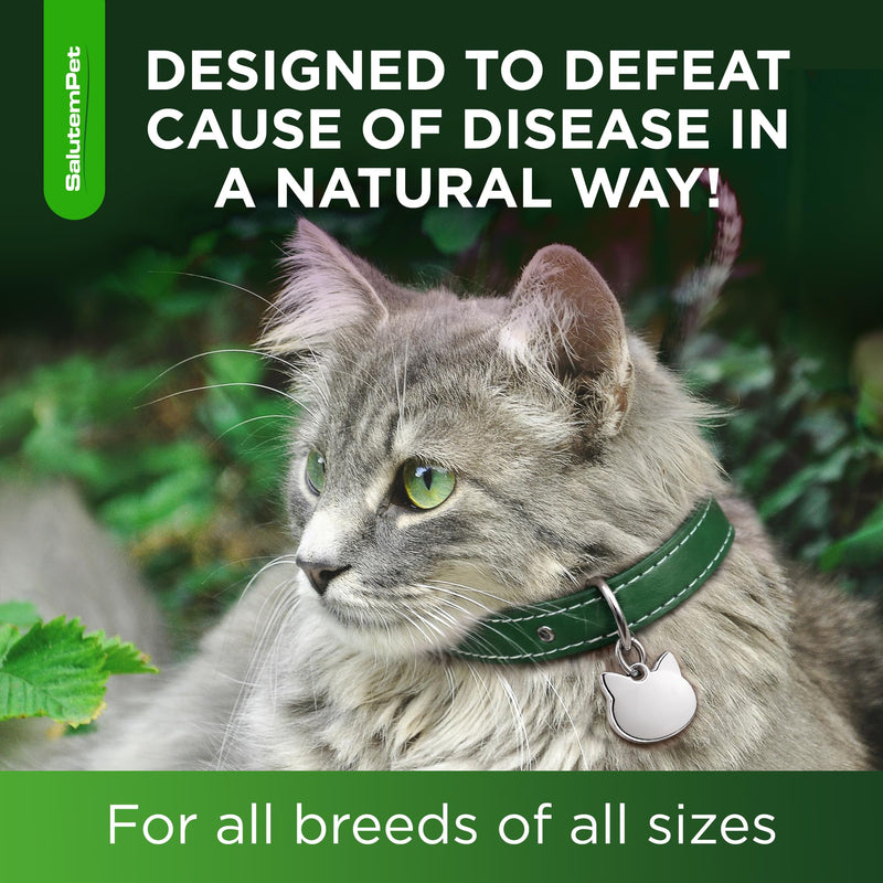 Cat Antibiotic in Drops – Natural Antibiotics for Cats with Chicken Flavor Help with UTI, Cough, Allergies – Safe for Pets and Breeds – 2-oz Bottle with a Pendant Included Herbal Antibiotic for Cats 2 Fl Oz