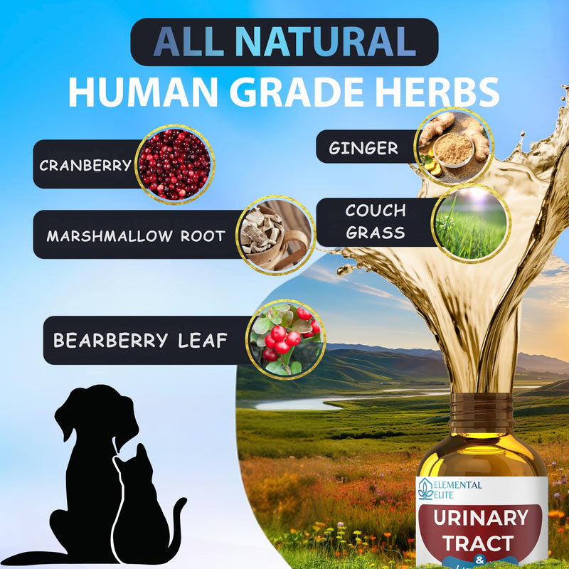 EDUZEBRA Urinary Tract Health Treatment for Dogs & Cats – Natural Herbal UTI Support Drops with Cranberry Extract – Promotes Bladder, Kidney & Digestive Wellness – Support Renal Function