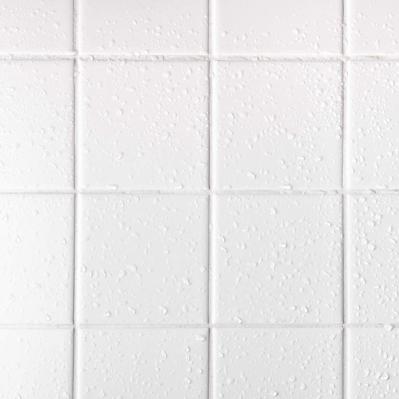 AQUA-X 16 Oz. Grout Sealer, Clear Grout and Tile Sealer, Natural Finish, Professional Grade, Indoor & Outdoor, Fast Dry and Long Lasting Protection 16 Ounce (Pack of 1)