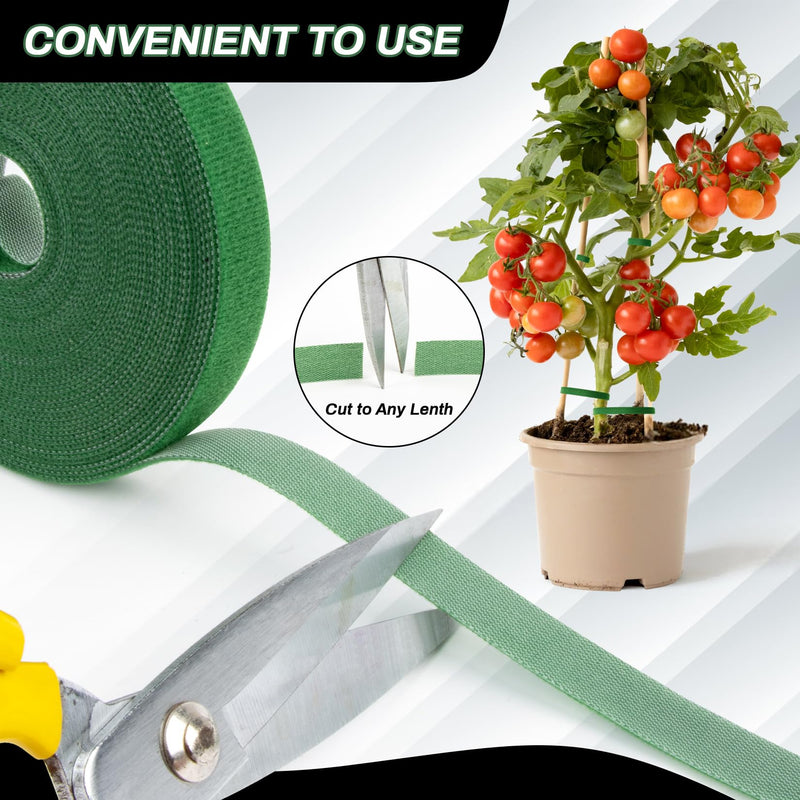 Velcro Plant Tape - 1 Roll Plant Supports for Growing Reusable Adjustable Cut-to-Length 0.6 in x 32.8 ft Indoor Outdoor Use Ideal for Gardening, Tomato, Rose Bushes, Fruit Trees, Green