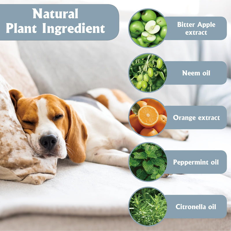 Natural Bitter Apple Spray for Dogs–Upgraded Double Bitter Extract, Alcohol-Free. Stops Chewing on Furniture, Shoes & More. Pet-Safe for Indoor/Outdoor use. 150ml