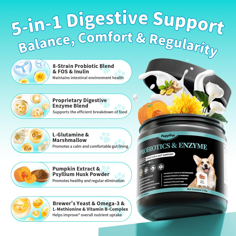 Probiotics for Dogs, Digestive Enzymes & Pumpkin Fiber for Gut Health and Bowel Support, Dog Supplement for Gas Relief & Constipation, 10B CFU with 5 Prebiotics & 5 Enzymes, 90 Count Beef Flavor 90 Count (Pack of 1)