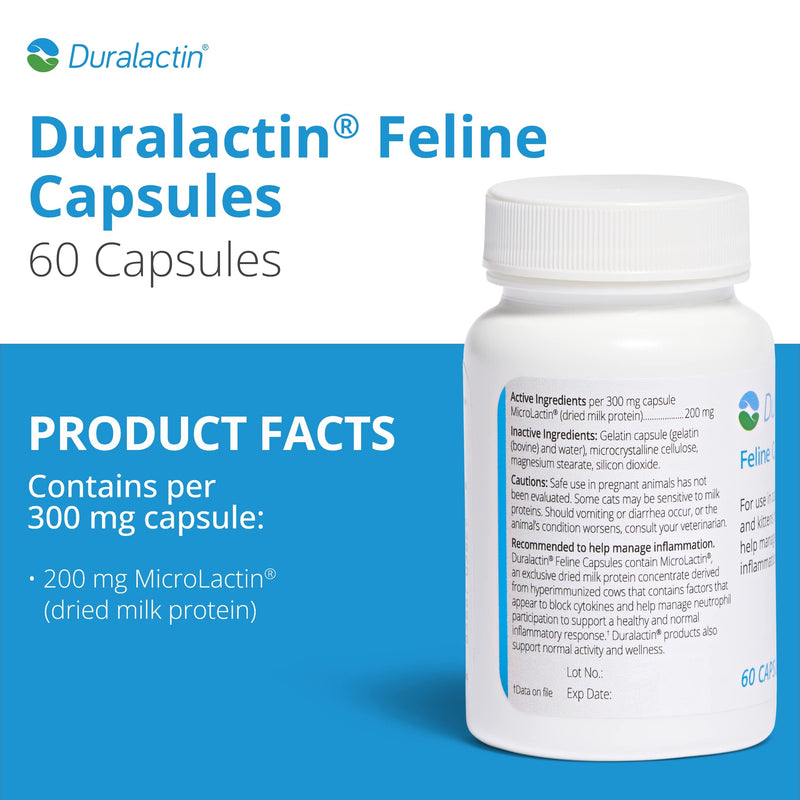 PRN Pharmacal Duralactin Feline - Joint Health Supplement for Cats & Kittens Supports Chronic Soreness, Joint Health & Overall Wellness - Gelatin Capsules Containing Dried Milk Protein - 60 Capsules