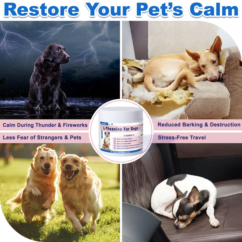L-Theanine Supplement for Cats & Small Dogs – Helps Keep Pets Calm & Relaxed – for Small, Medium & Large Dogs & All Cats – 100g Powde