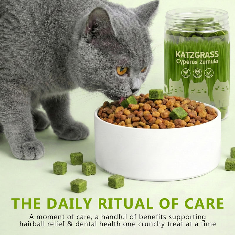 Cat Grass Treats for Indoor Cats - Freeze Dried Cat Grass Crunchy Snacks for Hairball Control and Digestive Support - Natural Kitty Grass Supplement - 4.23 oz 4.23 Ounce (Pack of 1)