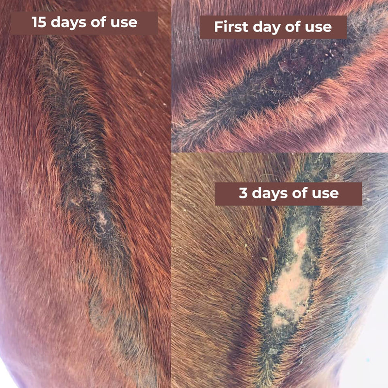 Farrier’s Wife Belly Salve-Natural Soothing Salve for Horses| Helps Fly Bite Dermatitis| Promotes Hair Growth| Belly Balm| Horse Sweet Itch Ointment - PawsPlanet Australia