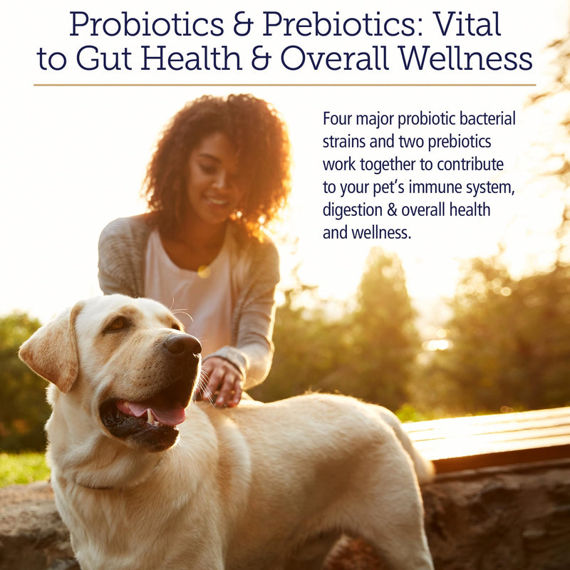 Rx Vitamins Rx Biotic - Probiotic Powder for Dogs and Cats - Cat Digestive Support & Probiotic for Dogs Gut Health - Dog Probiotics for Digestive Health - 2.12oz New Label
