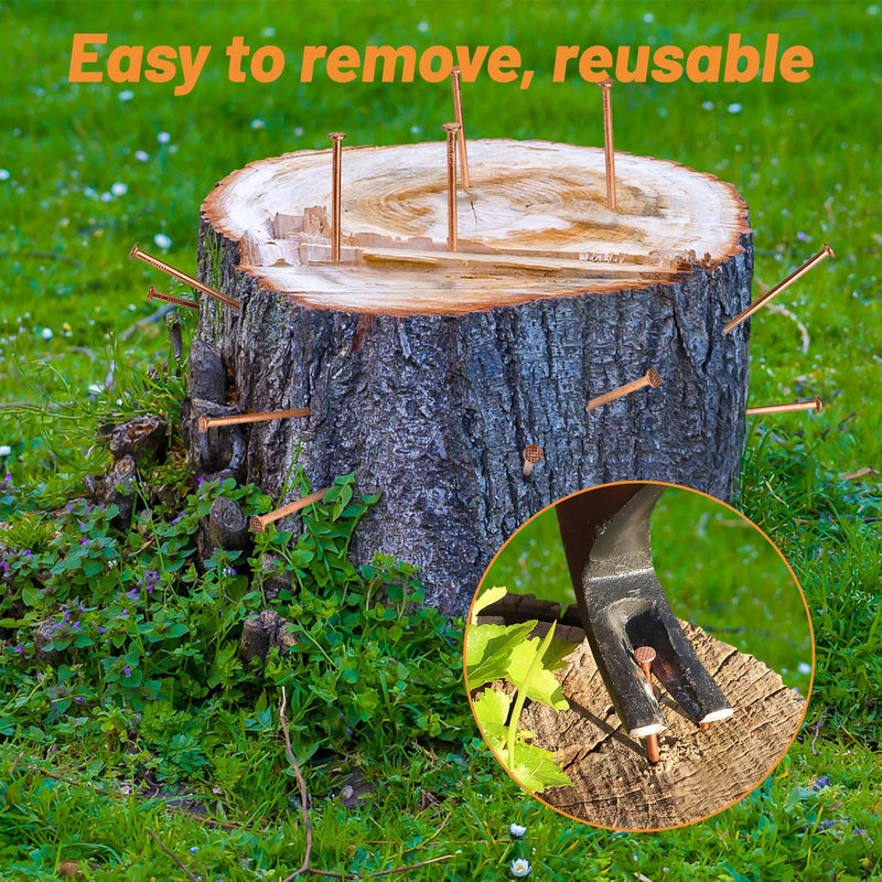 15 pcs Copper Nails for Killing Trees Stump Root Slowly, 3.15" Copper Nails with Drill, Stump Removal Spikes Nails for Trees, Stumps 3.14 " -15PCS