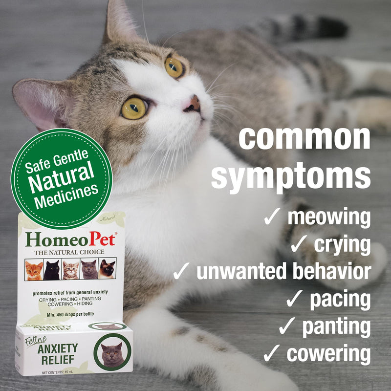 HomeoPet Feline Anxiety Relief, Stress and Anxiety Support for Cats, 15 Milliliters - PawsPlanet Australia