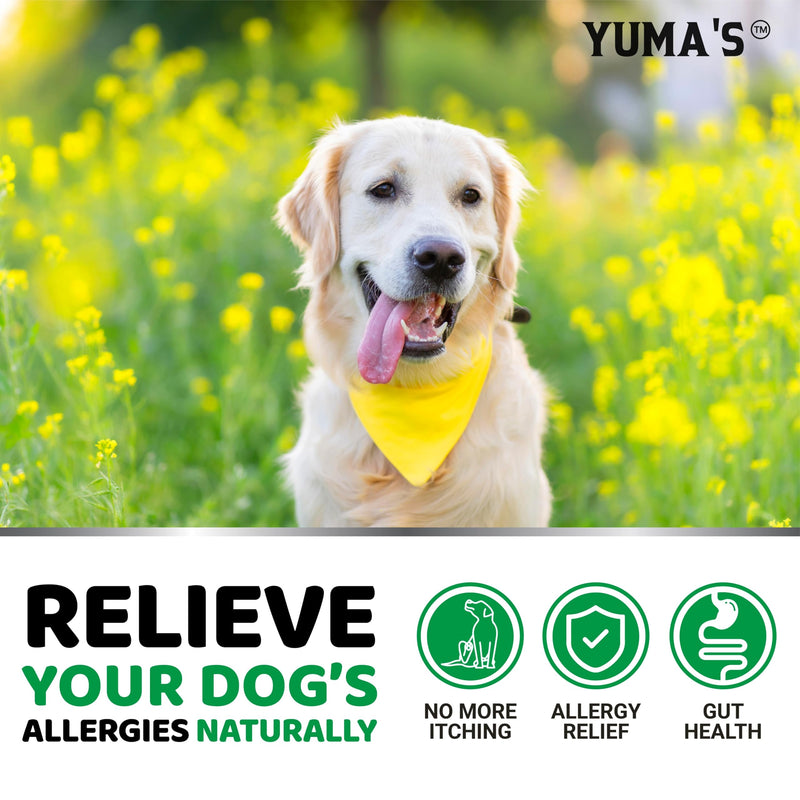 Dog Allergy Relief Chews - 240 Immune Treats - Dog Itching Skin Relief Treatment Pills - Anti-Itch - Itchy and Paw Licking - Omega 3 Fish Oil for Dogs Allergies - Dry Skin & Coat Supplement Vitamins 240 Chews Dog Allergy Chews