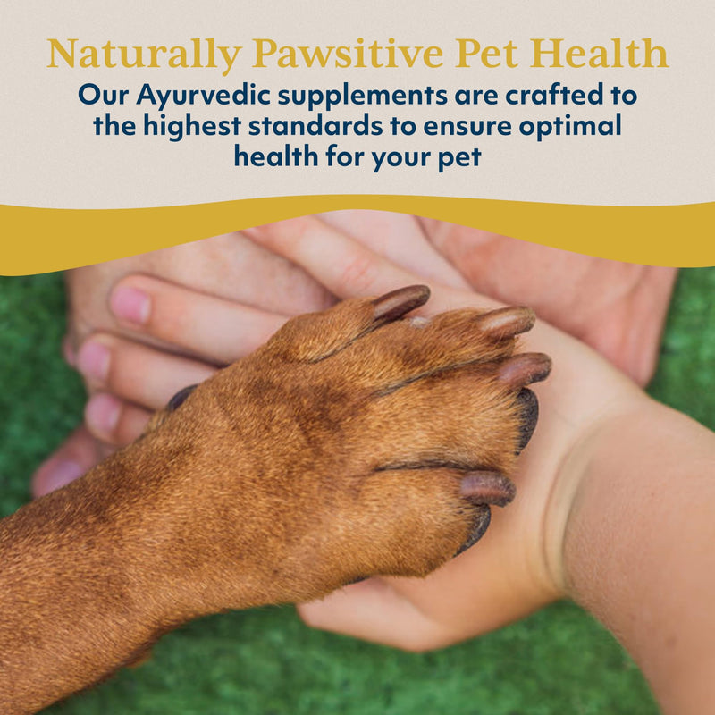 Ayush Pet Boswelya Plus, Joint and Muscle Support for Pets, Ayurvedic Pet Supplement with Boswellia, Ginger, and Bromelain, Large or Small Animals, 90 Vegetarian Caplets - PawsPlanet Australia