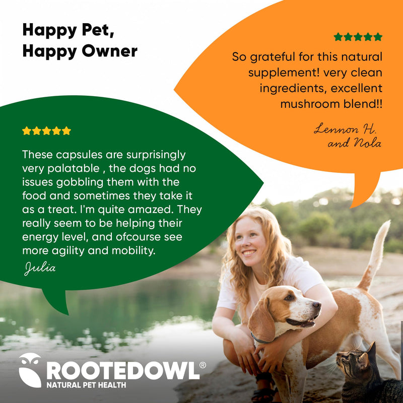 Natural Immunity - Cat and Dog Immune Support - Triple Mushroom Supplement for Dogs & Cats with Reishi, Shiitake and Maitake Mushrooms - 60/ct Vegan Capsules Mushroom Blend - Immunity