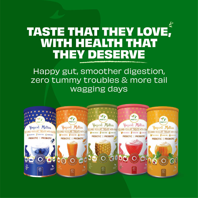 Pineapple Yogurt Melties Prebiotics and Probiotics for Dog | Promotes Immunity, Supports Gut Health | May Help Support Yeast Balance | May Help in Occasional Itchy Skin | Grain-Free (1.3oz)