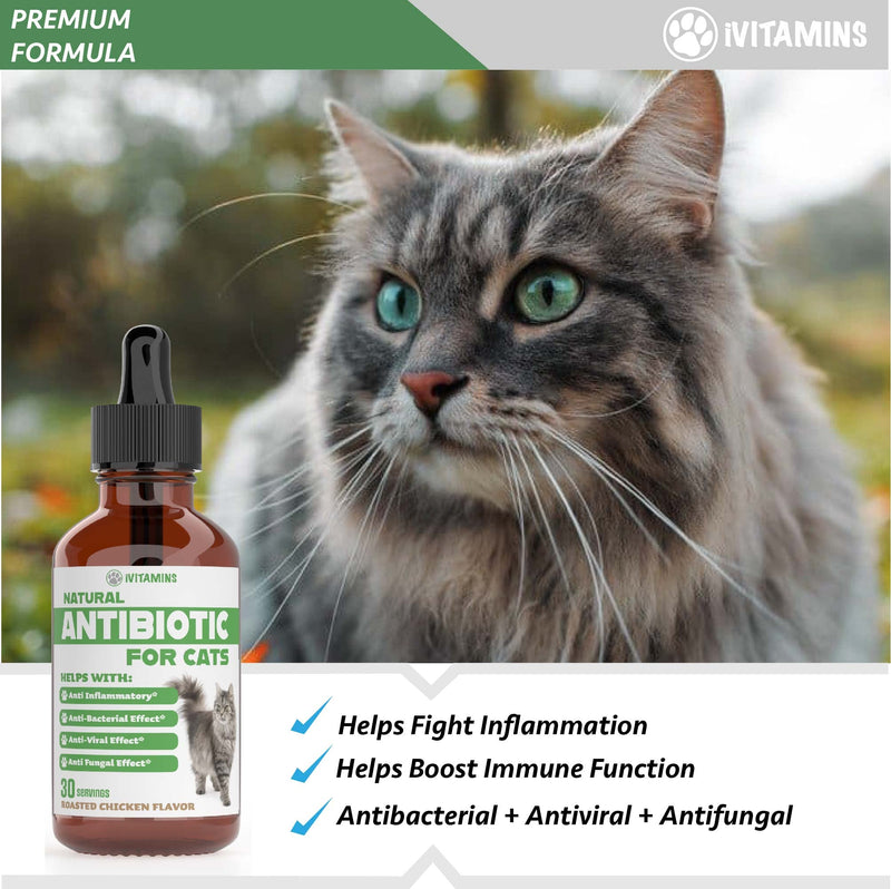 Natural Antibiotics for Cats | Cat Supplements | Cat Antibiotic | Cat Antibiotics | Cat Immune Support | Antibiotic for Cats | Cat Multivitamin | Multivitamin for Cats | 2 Pack: 60 Servings Total - PawsPlanet Australia