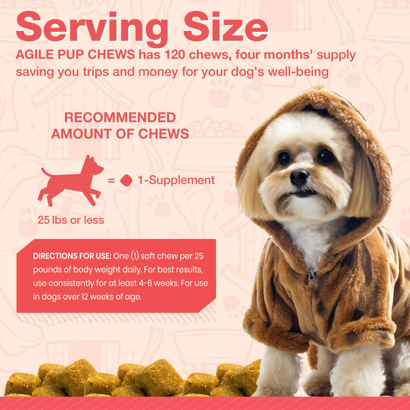 Arthritis Dog Joint Chews| Glucosamine, Chondroitin, Omega-3| MSM Support for Healthy Joints| 120ct Veterinarian Formulated Soft Chews| Up to 4-Month Supply - PawsPlanet Australia