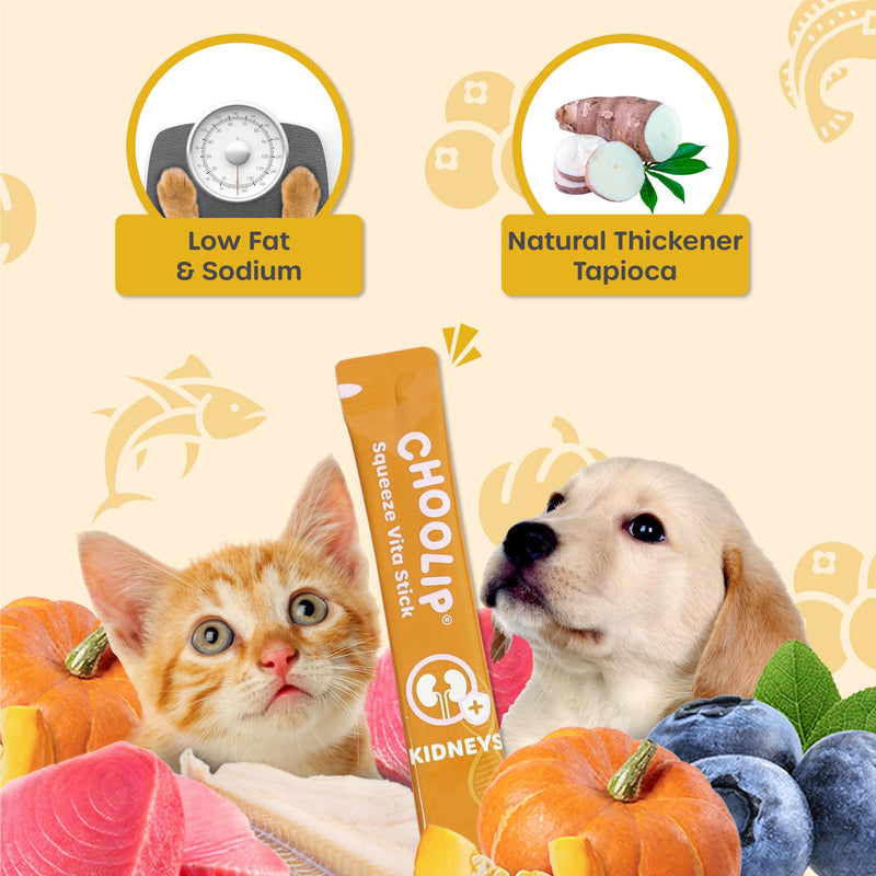 Choolip Bundle | Kidney + Brain Pouches. 14 Squeeze Vita Sticks (7 Kidney + 7 Brain) with Essential multivitamins. [Both Products are for Cats & Dogs of All Life Stages]