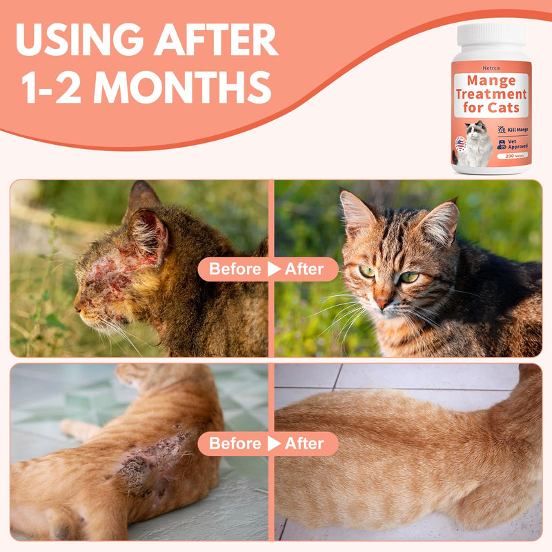 Mange Treatment Cats, Hair Regrowth, Skin Repair, Treats Scratching, Itch & Scabs, Ear Cleaning, Scabby Cat Treatment, Safe for Feral & Stray Cats, 200 Pills