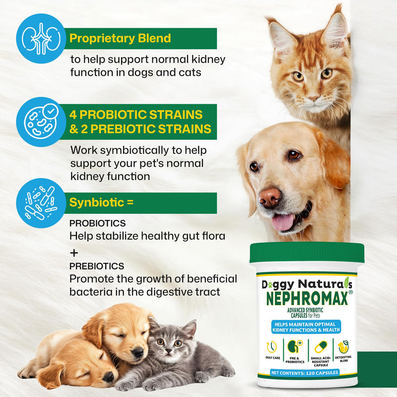 NEPHROMAX™ Synbiotic Capsules for Kidney Support for Dogs & Cats - 36 Billion CFU-Advanced Next-Generation Enteric detoxifying Blend of Pre & Probiotics Kidney Support U.S.A (120 Small Capsules) 120 Caps