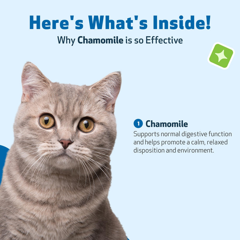 Pet Wellbeing Chamomile for Cats - Organic Single Herb Supplement - Gentle Digestive Support, Holistic Calming - Pure Chamomile Extract - Vet-Formulated Liquid Wellness 2 oz (59ml)
