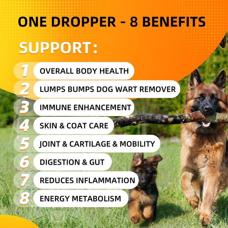 Turkey Tail Mushroom Liquid for Dogs 3000mg Highly Concentrated Extract | Immune Defense, Lipoma & Itch Relief, 17 in 1 Tincture, 5X Organic Mushrooms Blend, Multivitamin & Turmeric, Daily Vitality