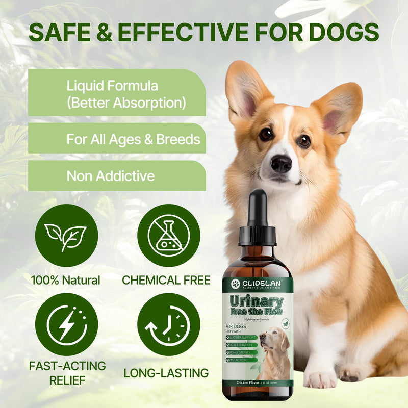 Bladder & Kidney Stones Dissolver for Dogs – Helps with Stone and Crystals Fragment Flush & Prevention – Natural Dog UTI Treatment, Herbal Vet-Formulated, Dog Urinary Tract Infection Treatment