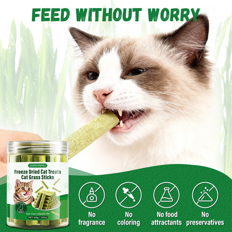 Cat Grass Teething Stick, 100g / 3.52oz Natural Cat Grass Treats for Indoor Cats, Cat Chew Stick for Hairball Cleaning, Appetite Boosting & Dental Health, Edible Cat Toys