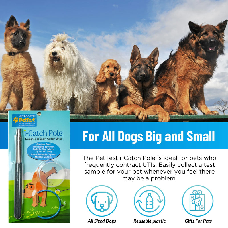 PetTest i-Catch Telescoping Dog Urine Catcher, 45-inch Extendable Dog Pee Stick Collector, and Telescopic Pole Handle for Small and Large Breeds, Includes a Reusable Cup with Milliliter Markings - PawsPlanet Australia
