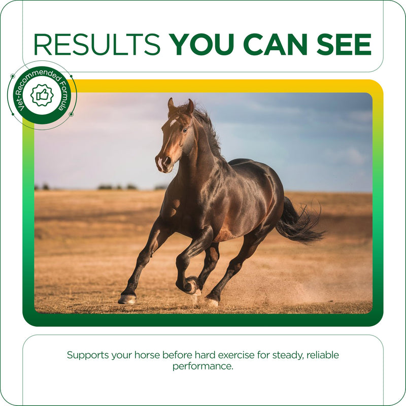 TRM Hemorex Paste for Healthy Horses, Complimentary Feeding Stuff, Essential Nutrients for Before Intensive Exercise - 1.05 oz 1.05 oz (30g) 30g