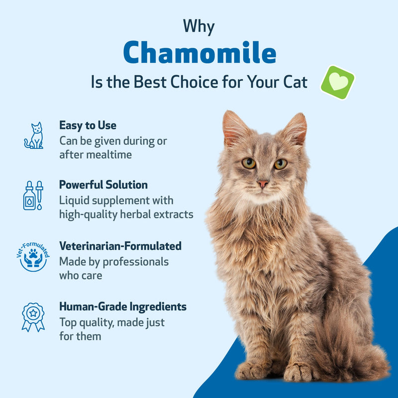 Pet Wellbeing Chamomile for Cats - Organic Single Herb Supplement - Gentle Digestive Support, Holistic Calming - Pure Chamomile Extract - Vet-Formulated Liquid Wellness 2 oz (59ml)