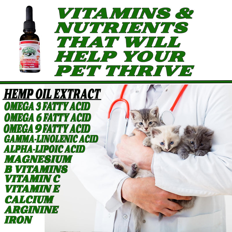 Pet Hemp Oil | Catnip Oil | Dogs and Catsl | Aids with Anxiety, Stress, Pain, Hip, Joint, and Muscle Support for Young to Senior Pets | 120MG Organic Hemp | 100% Natural | Green Planet Hemp