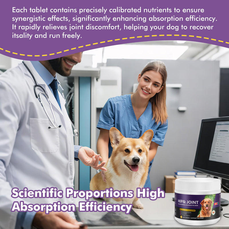Glucosamine Chondroitin MSM Chewable Tablets for Dogs - Hip & Joint Support Supplement with Vitamins, Chicken Flavor, Joint Pain Relief for Puppies & Senior Dogs, 120 Count