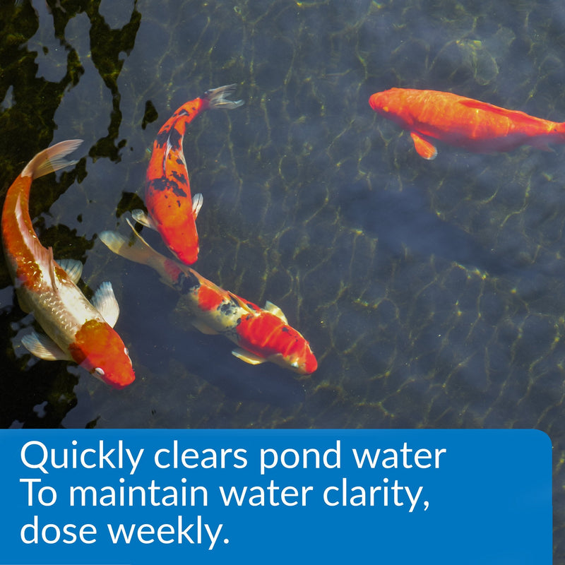 API POND ACCU-CLEAR Pond Water Clarifier 16-Ounce Bottle Pond Treatment 16 oz
