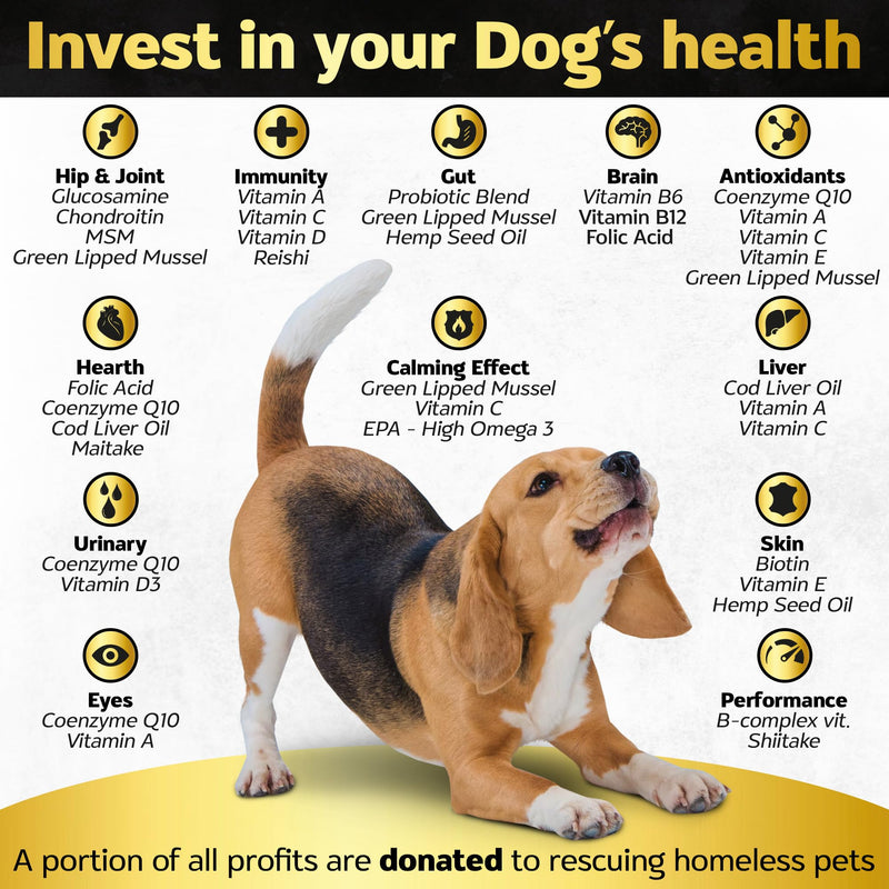 Soft Chews Dog Vitamins & Supplements - Dog Multivitamin - Hemp Oil Glucosamine Chondroitin Hip and Joint Support Health, Skin & Coat, Digestion & Immune Booster, Heart, Probiotics Bacon 30 Soft Chews