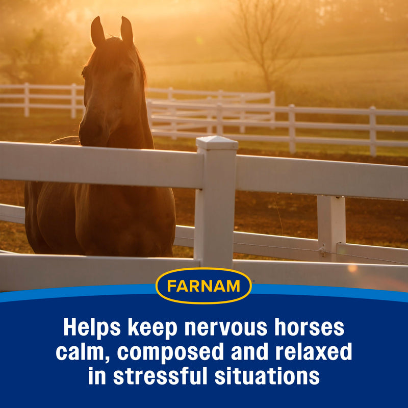 Farnam Quietex II Horse Calming Paste, 32.5 ml Syringe, Manage Nervous Behavior & Keep Horses Calm, Focused & Composed, 7 Stress-Relieving Ingredients, Calm Magnesium Supplement