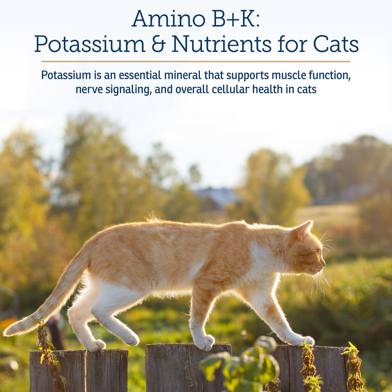 Rx Vitamins Amino B+K - Cat Vitamin B & Potassium Supplement for Cats - with Amino Acids Taurine & Lysine - Aids in Cat Kidney Support & Immune Support for Cats - Liver & Bacon 4oz New Label