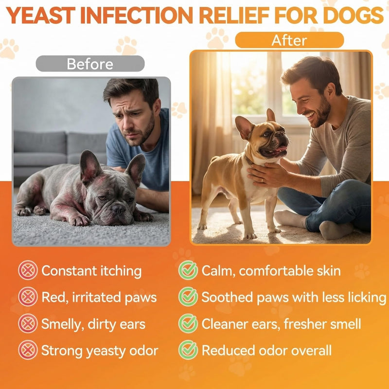 Natural Yeast Infection Treatment for Dogs, Support Healthy Itch Relief, Ear Paw Discomfort Care, Itch Relief for Dog, Inflammation Relief for Dogs, 60ml