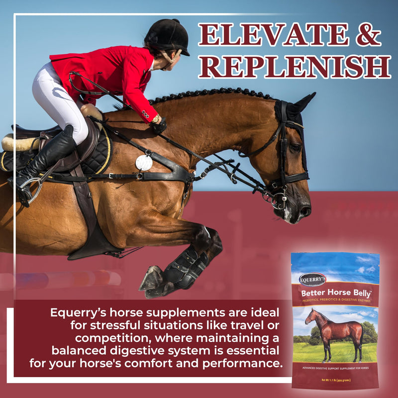 EQUERRY'S Better Horse Belly - Horse Supplement with Gut Support | Horse Probiotics with Prebiotics and Digestive Enzymes | for Colic, Digestive Upset, 1.1LB - PawsPlanet Australia