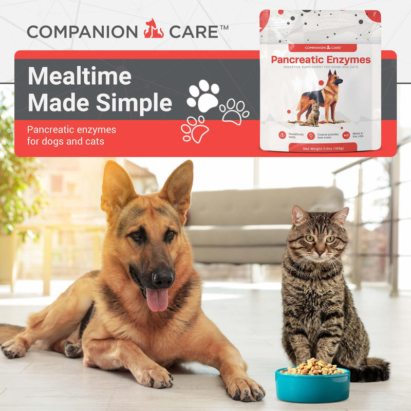 Pancreatic Enzymes for Dogs & Cats – High-Strength, Low-Odor (Acetone-Free), Porcine-Derived Powder Digestive Supplement for Dogs & Cats – Made in the USA (5.9oz, 168g)