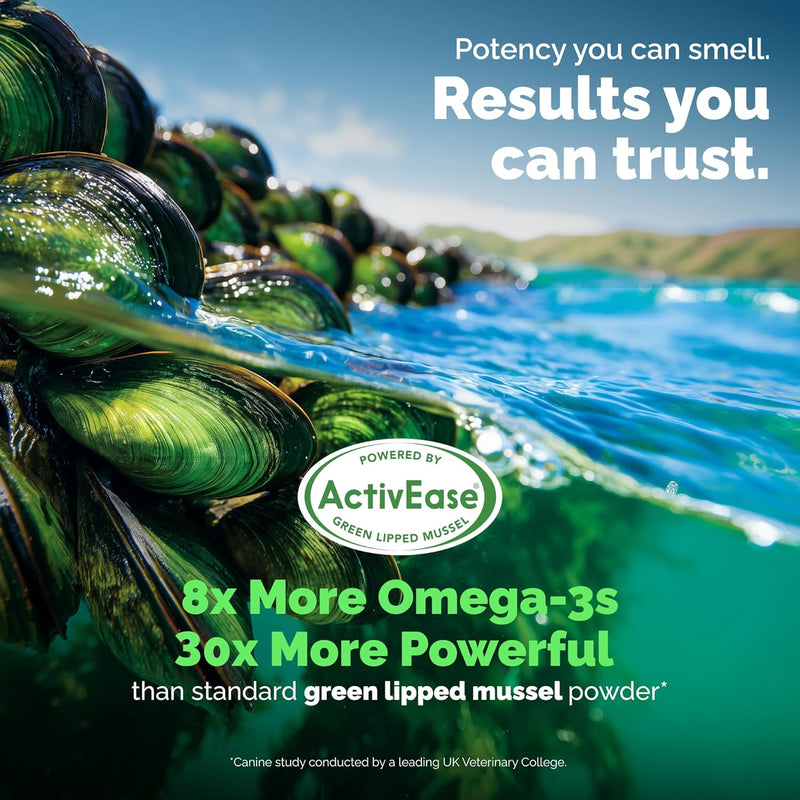 YuMOVE Daily Chews | Hip and Joint Supplement for Small & Medium Dogs with Glucosamine, Hyaluronic Acid, Green Lipped Mussel | 60 Chews - 1 Month's Supply - NewNest Australia
