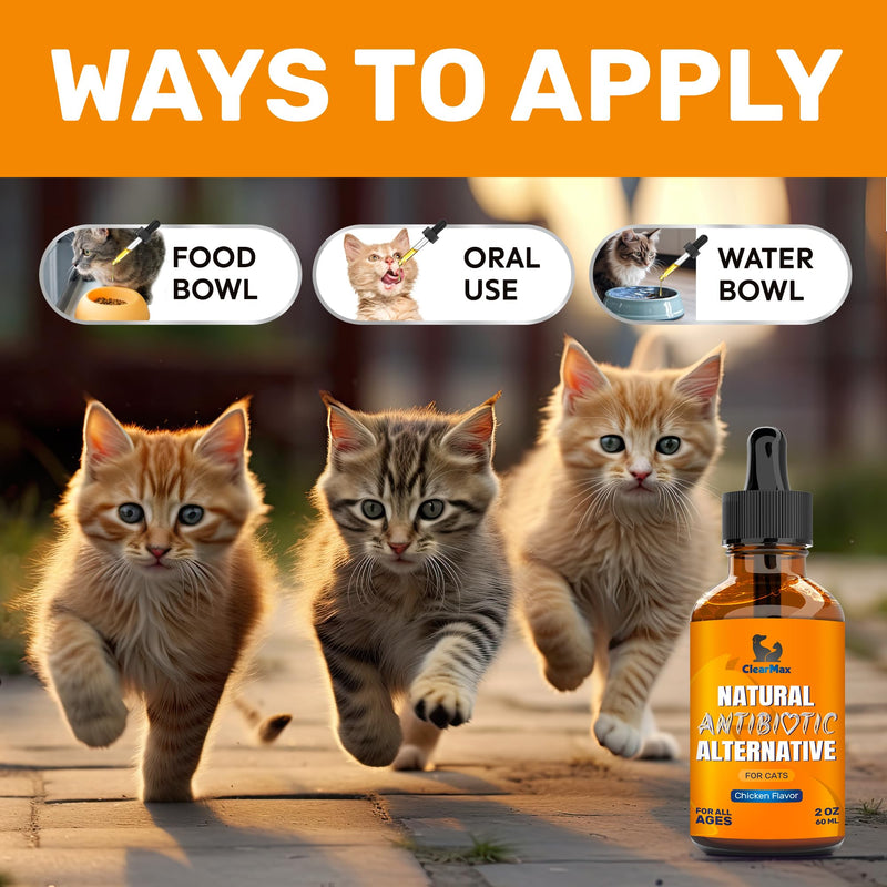 Antibiotics for Cats ◆ Cat Antibiotic ◆ Natural Antibiotics for Cats ◆ Cat Antibiotics ◆ Antibiotic for Cats ◆ Cat Multivitamin ◆ Pet Antibiotic ◆ 2 Oz 2 Fl Oz